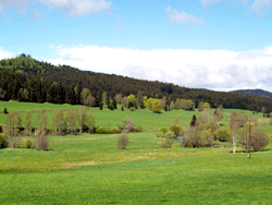Sumava